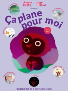 Affiche de CA PLANE POUR MOI