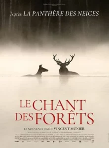 Affiche de LE CHANT DES FORÊTS