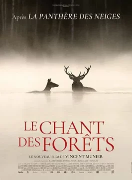 Affiche LE CHANT DES FORÊTS