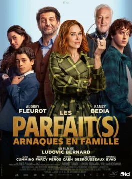 Affiche LES PARFAIT(S): ARNAQUES EN FAMILLE