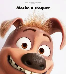 Affiche MOCHY