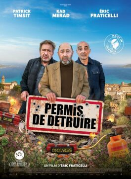 Affiche PERMIS DE DÉTRUIRE