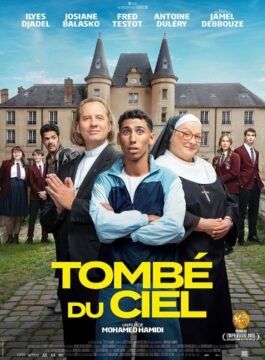 Affiche TOMBÉ DU CIEL